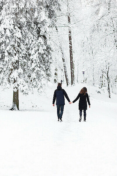 Liebevolle Kerle und Mädchen  die durch den verschneiten Park spazieren