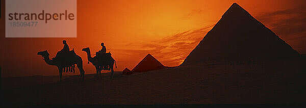 Panorama der Großen Pyramiden von Gizeh  Ägypten bei Sonnenuntergang