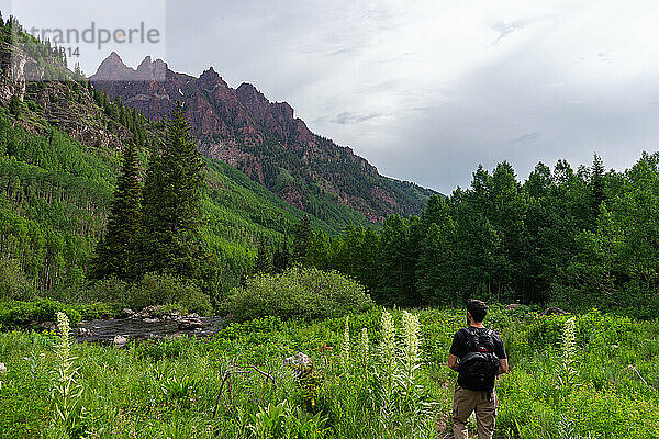 Mann schaut im Sommer auf den Berg in Aspen  Colorado