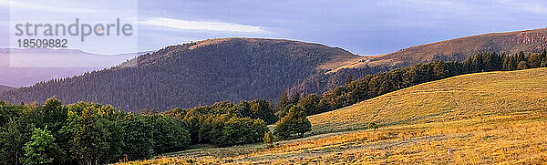 Panoramablick auf die Waldlandschaft mit Bergen im Hintergrund  Stosswihr  Vogesen  Frankreich