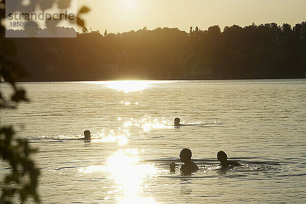 Junge Erwachsene schwimmen im See bei Sonnenuntergang  Bayern  Deutschland