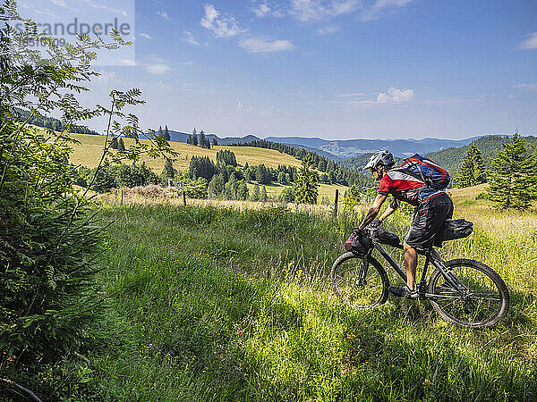 Mountainbiker radelt durch den Wald  in der Nähe von Todtnau  Baden-Württemberg  Deutschland