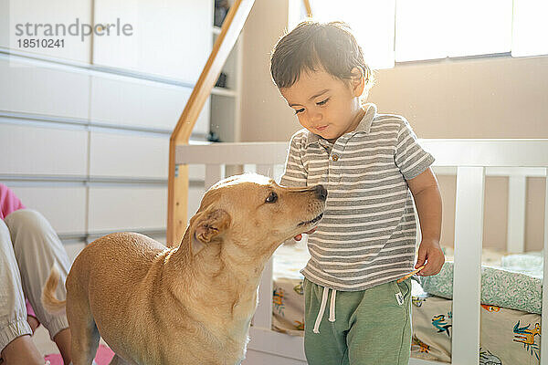 Little latin boy eating cookies accompanied by his mixed breed puppy