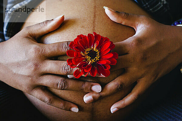 Nahaufnahme von Frauenhänden  die eine Blume über den schwangeren Bauch halten