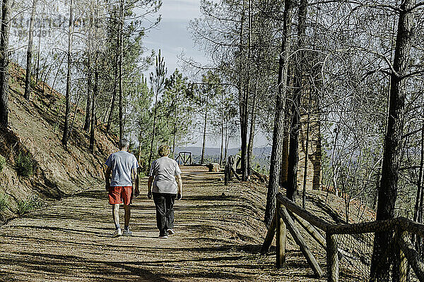 Rückansicht eines älteren Paares  das im Park spazierengeht