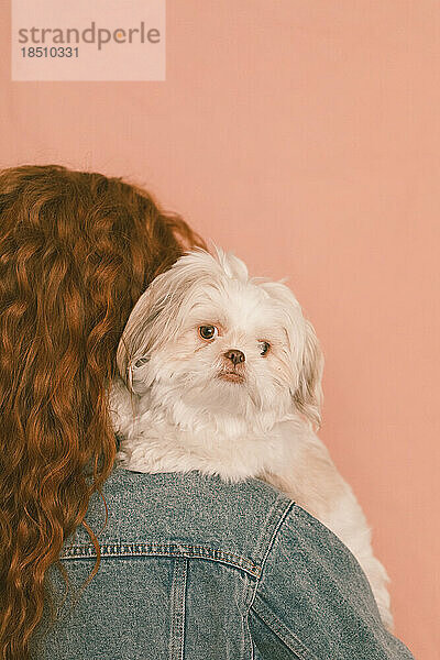 Frau hält weißen Shih-Tzu-Hund auf der Schulter vor rosa Hintergrund