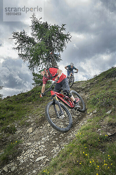 Mountainbiker fahren bergab auf Waldweg  Trentino-Südtirol  Italien