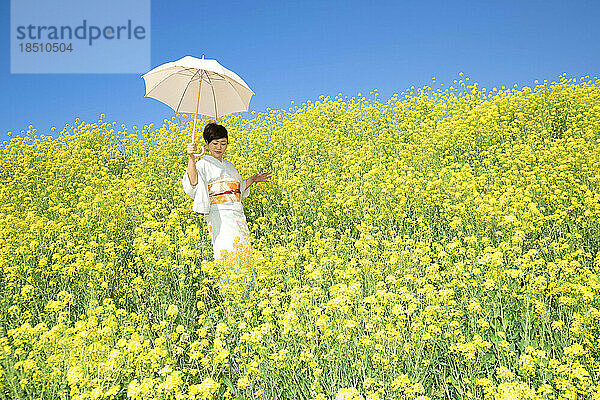 Japanerin in einem wunderschönen gelben Blumenfeld
