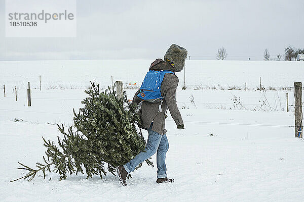 Junger Mann trägt Weihnachtsbaum in verschneiter Landschaft  Bayern  Deutschland