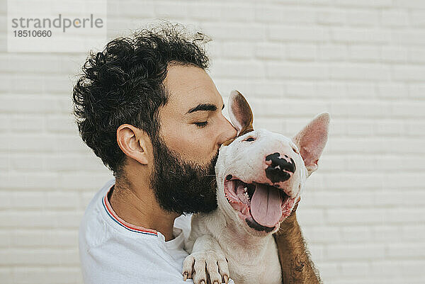 Bärtiger Mann  der einen weißen Bullterrierhund küsst