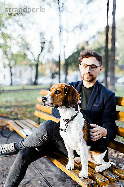Stilvoller junger Mann sitzt mit seinem Beagle-Hund auf einer Parkbank