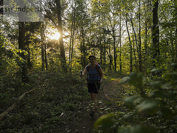 Reife Frau wandert auf schmalem Fußweg im Wald  Baden-Württemberg  Deutschland