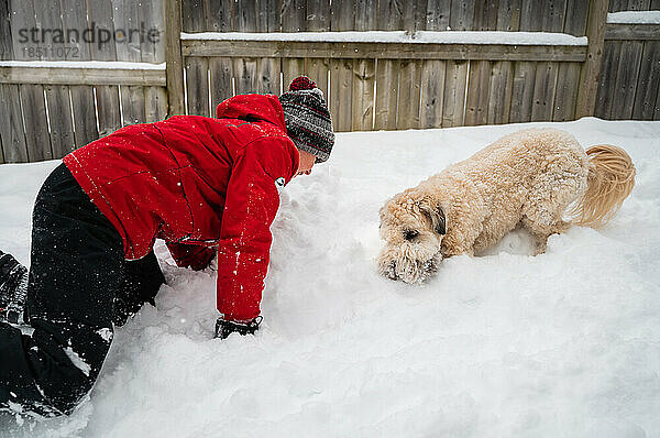 Junge und flauschiger Hund spielen an einem Wintertag gemeinsam im Schnee.