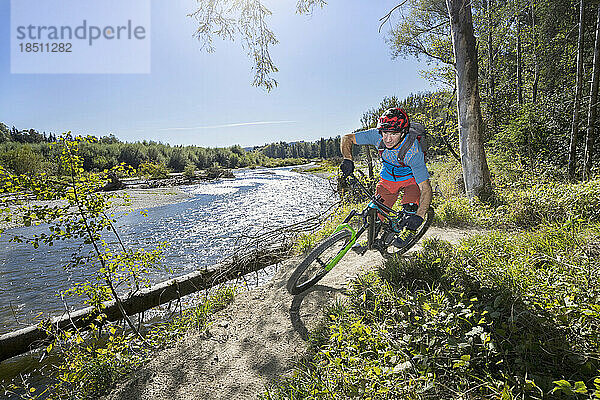 Mountainbiker fährt in der Nähe eines Flusses im Wald  Bayern  Deutschland