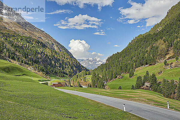 Straße inmitten grüner Berglandschaft  Ötztal  Österreich