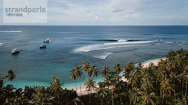 Surfen an einem Strand mit Palmen in Indonesien