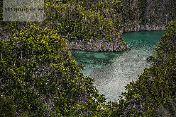 Der Archipel von Raja Ampat – das letzte Paradies