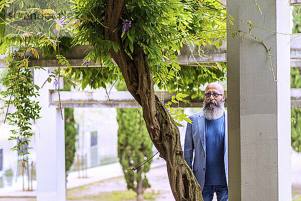 Mann mittleren Alters  kahlköpfiger  bärtiger Mann  der hinter einem Baum in einem Park steht.
