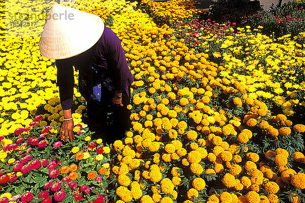 Schöne Grafik mit Frau mit Strohhut und bunten Blumen Vietnam Mekong Delta
