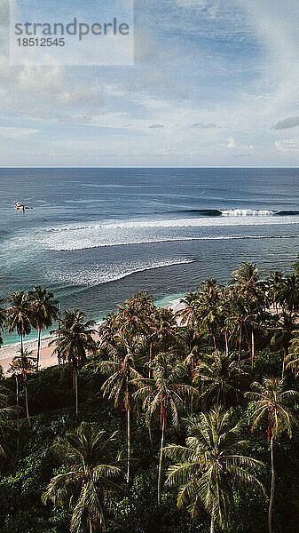 Perfekte Welle an einem Strand mit Palmen in Indonesien