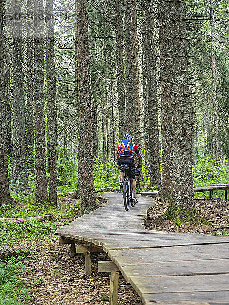 Mountainbiker radelt auf der Promenade im Wald  in der Nähe von Todtnauberg  Baden-Württemberg  Deutschland