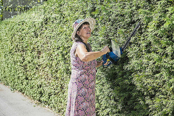 Ältere Frau schneidet Hecke mit einer Heckenschere im Garten  Altötting  Bayern  Deutschland
