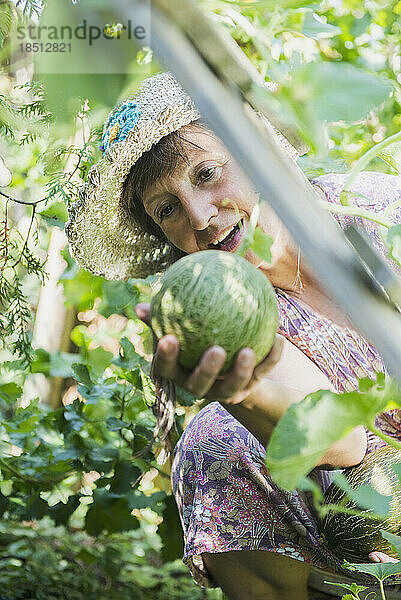 Ältere Frau mit Melone im Garten  Altötting  Bayern  Deutschland