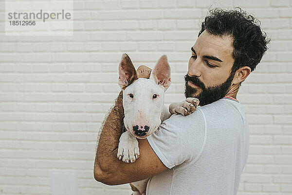 Bärtiger Mann umarmt weißen Bullterrierhund