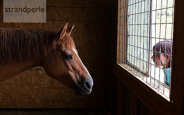 Girl looking at her horse through barn window