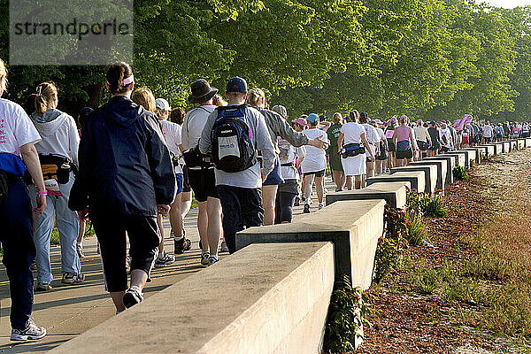 A stream of people start out to cover 39.3 miles for a breast cancer walk.