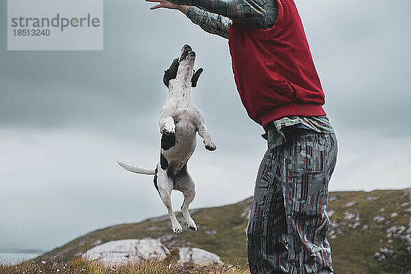 Fleckiger Hund springt in die Luft und blickt auf die Berge und das Meer in Schottland