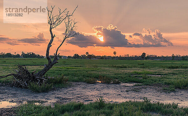 Ein schöner farbenfroher Sonnenaufgang im Everglades-Nationalpark