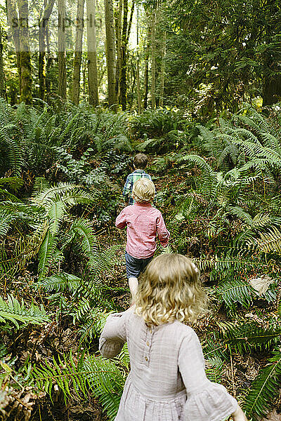 Blick von hinten auf drei kleine Kinder  die durch den Wald wandern
