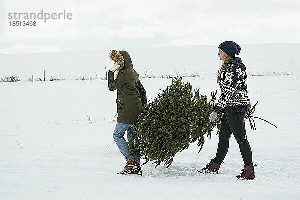 Zwei Mädchen im Teenageralter tragen einen Weihnachtsbaum in einer verschneiten Landschaft  Bayern  Deutschland