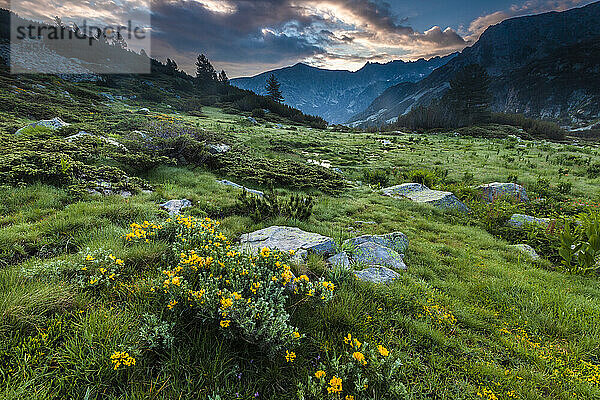 Pirin-Gebirge