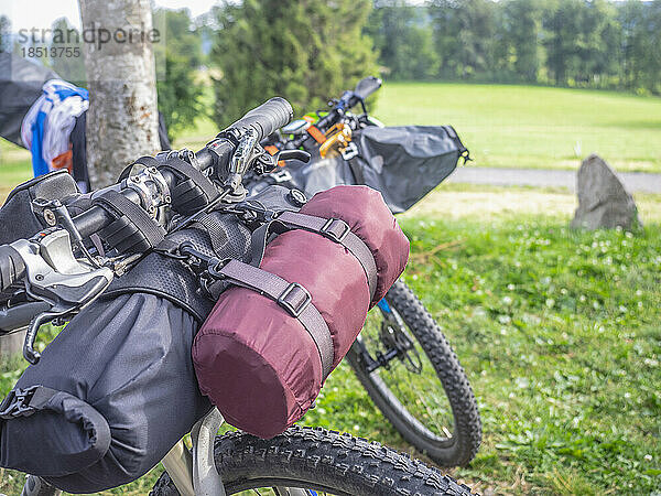 Mountainbike mit Baum geparkt  Baden-Württemberg  Deutschland