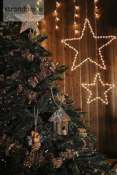 Weihnachtsbaum mit sternförmigen Lichtern im Hintergrund