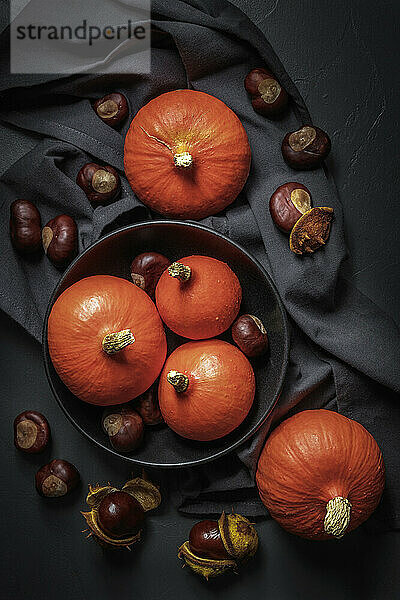 Studio shot of bowl of pumpkins and chestnuts lying against black background