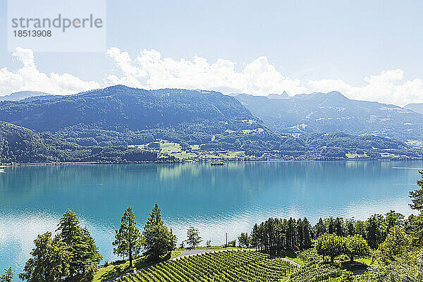 Schweiz  Kanton St. Gallen  malerischer Blick auf den Walensee und die Churfirstenkette mit Weinberg im Vordergrund