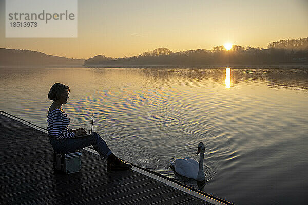 Freiberufler arbeitet morgens am Laptop neben einem Schwan  der im See schwimmt