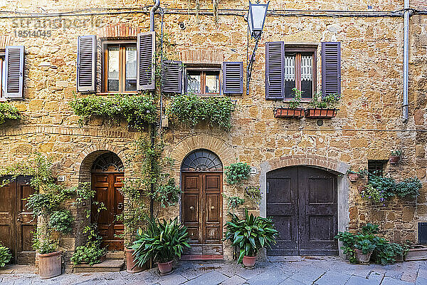 Italien  Toskana  Pienza  Topfpflanzen vor den Eingangstüren zweier nebeneinanderliegender Häuser