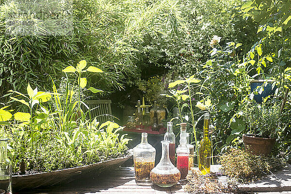 Glasflaschen mit Öl und Essig am Tisch im Garten
