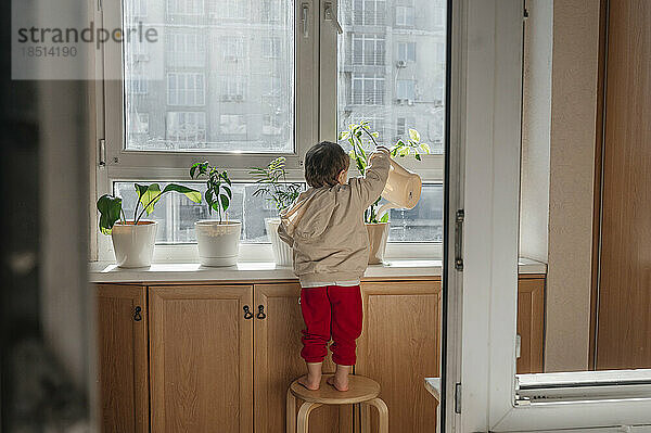 Junge  der zu Hause auf einem Hocker steht und Pflanzen gießt