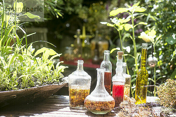 Bio-Kräuter in Öl und Essig im Garten