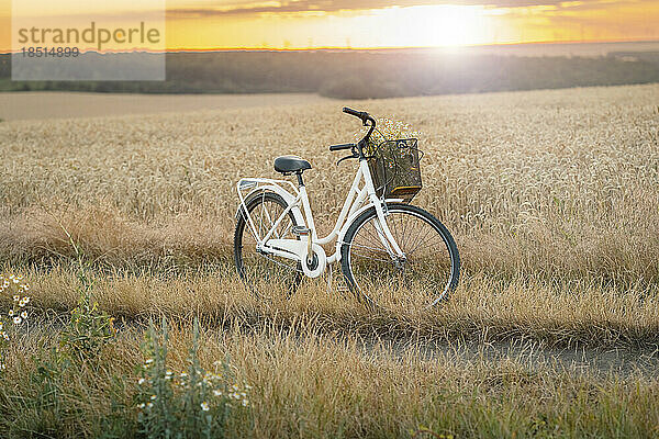 Bei Sonnenuntergang im Feld geparktes Fahrrad