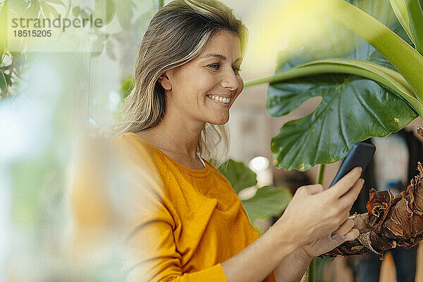 Glückliche Frau  die im Café Textnachrichten über ihr Smartphone sendet