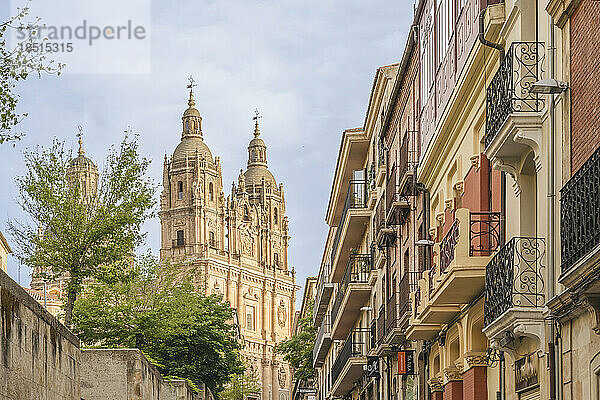 Spanien  Castilla y Leon  Salamanca  Häuserzeile mit Glockentürmen der Neuen Kathedrale im Hintergrund