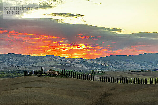 Italien  Toskana  Castiglione d'Orcia  Hügellandschaft Val d'Orcia im stimmungsvollen Morgengrauen