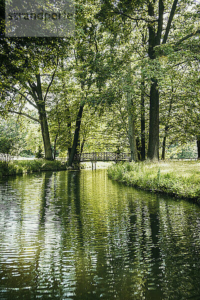 Canal amidst lush trees in spree forest