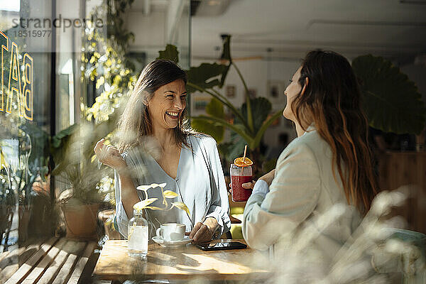 Fröhliche Freunde genießen im Café